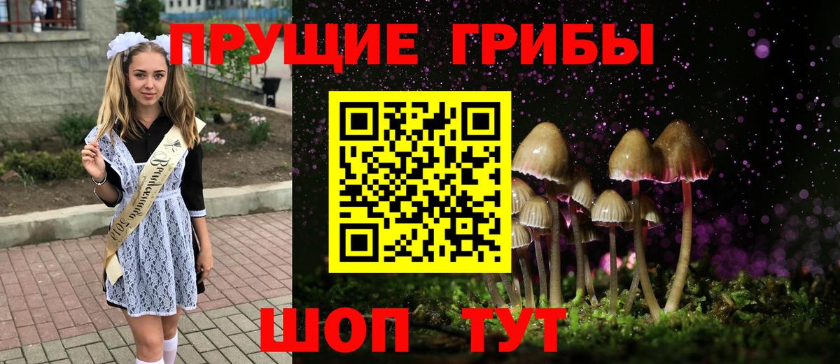 Галлюциногенные грибы Psilocybine cubensis Новокузнецк