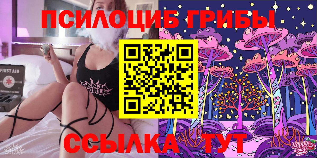 Галлюциногенные грибы Cubensis  Вход с VPN  Новокузнецк 