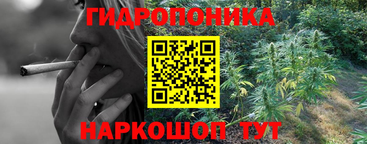 МАРИХУАНА план  Канабис планчик  Новокузнецк  Вход с VPN  Канабис VHQ  Конопля AK-47 